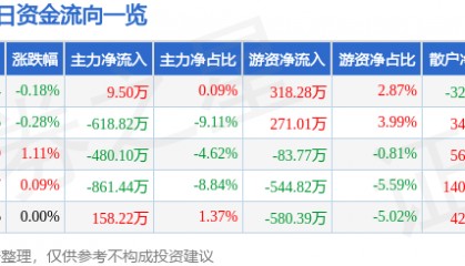 股票行情快报:三江购物(601116)8月13日主力资金净买入9.50万元