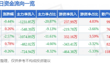 股票行情快报:三江购物(601116)8月4日主力资金净卖出1231.85万元