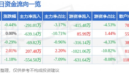 股票行情快报：安洁科技（002635）7月11日主力资金净卖出291.01万元