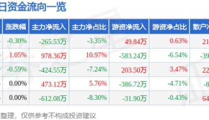 股票行情快报：新华传媒（600825）10月9日主力资金净卖出265.53万元