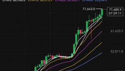 虚拟币太多(下一个可以暴涨的虚拟币是什么)