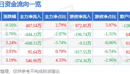 股票行情快报：北京文化（000802）7月20日主力资金净买入407.54万元