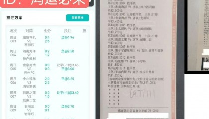 日职：大阪樱花VS浦和红钻，比分预测与赛事资讯