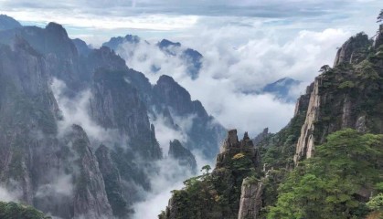 一周核资讯｜第242期