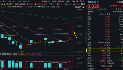 ETF盘后资讯｜DeepSeek带飞AI医疗？美年健康、金域医学涨停封板！医疗ETF（512170）放量摸高3.76%，强势突破半年线和年线