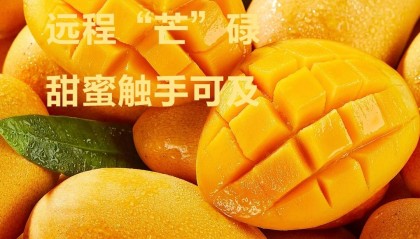 洺宸信息技术资讯：认养芒果树1年，每月快递鲜果！海南果园直供不催熟