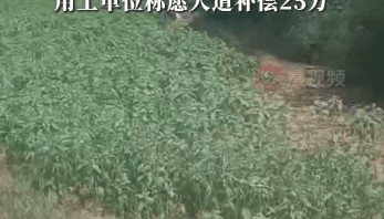 54岁农民工在工地附近如厕被气枪击杀，肇事者自首，用工单位愿补偿25万，家属发声