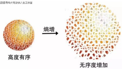 为什么科学家说熵是真正的“星际货币”，探索宇宙终极货币