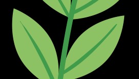 前沿资讯 || 预立医疗照护计划亚洲专家共识