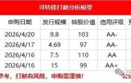 大肉上市：本川转债上市价格预测！！