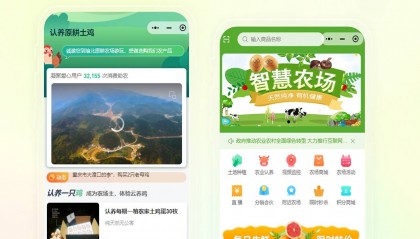 洺宸信息技术资讯：手机点一点，当 “甩手掌柜”！揭秘都市人如何用小程序玩转 “云种菜”