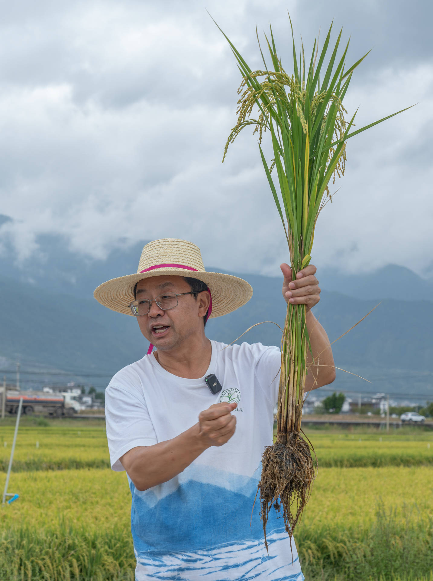资讯有故事︱农业科技小院为何能走向世界？全国人大代表张福锁这样说→
