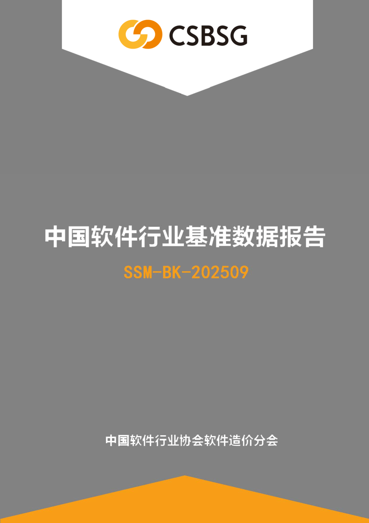 2025中国软件行业基准数据报告-中国软件行业协会