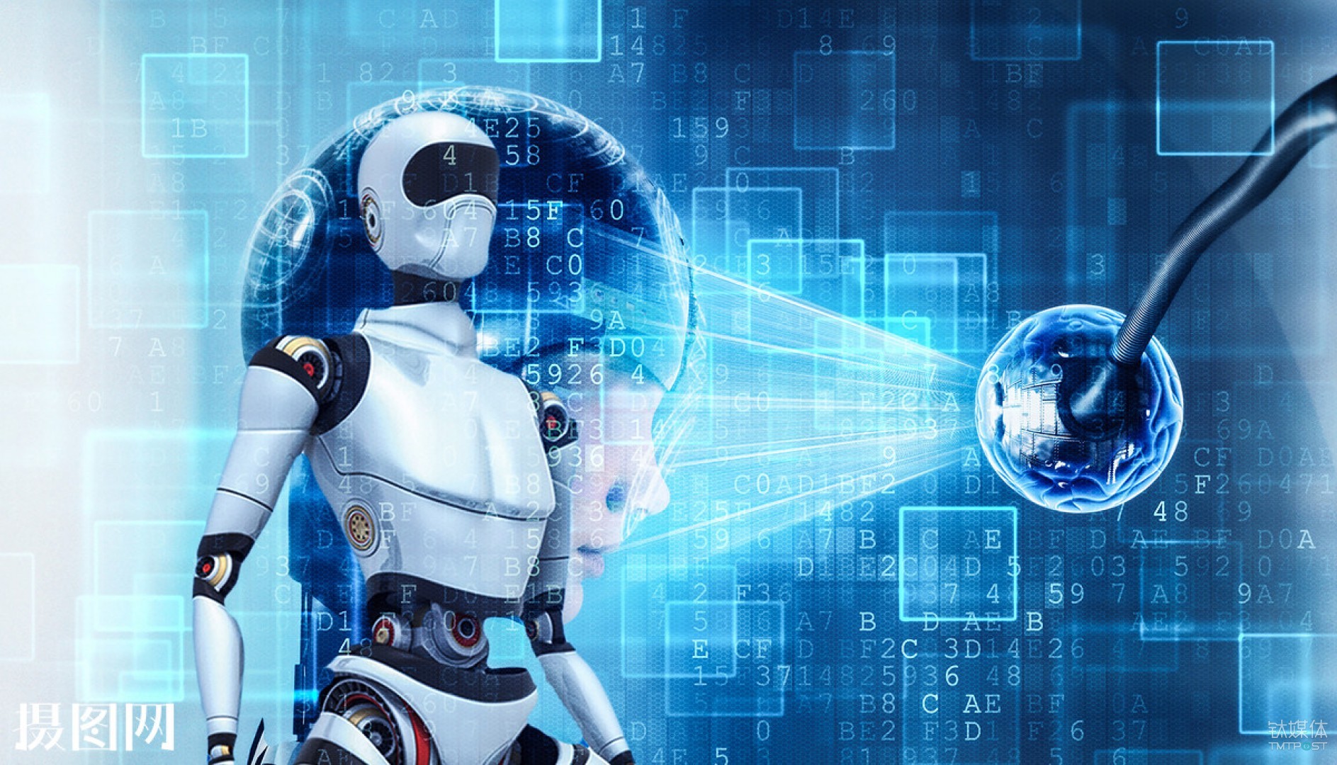 虚拟货币钛币发行量(btt虚拟币总的发行量)